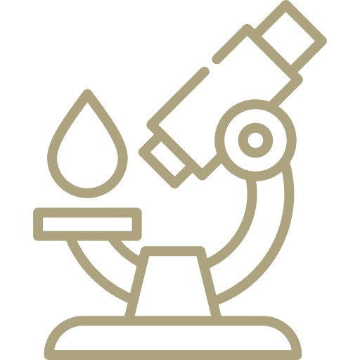 Podiatry, lab work, and therapy